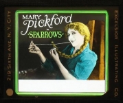 1926 - Sparrows -  
