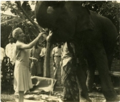 Mary Pickford feeding 'Jumbo' a plantain - 1927 