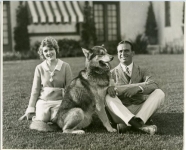 Mary Pickford, Douglas Fairbanks and dogs at Pickfair - 1920 