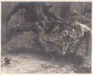 rb587 - Mary sits with rope while man is in sinkhole & man eats ice cream, Sparrows 1926